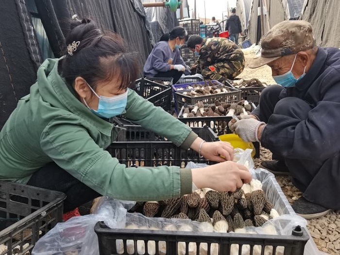 佰利乐·(中国区)有限公司官网