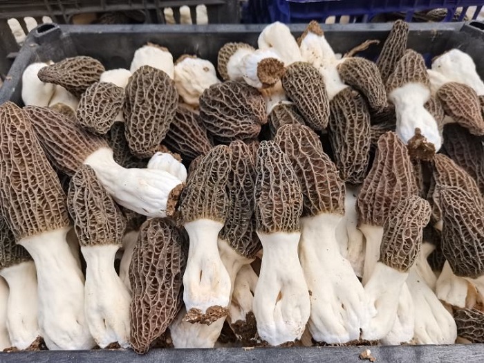 佰利乐·(中国区)有限公司官网