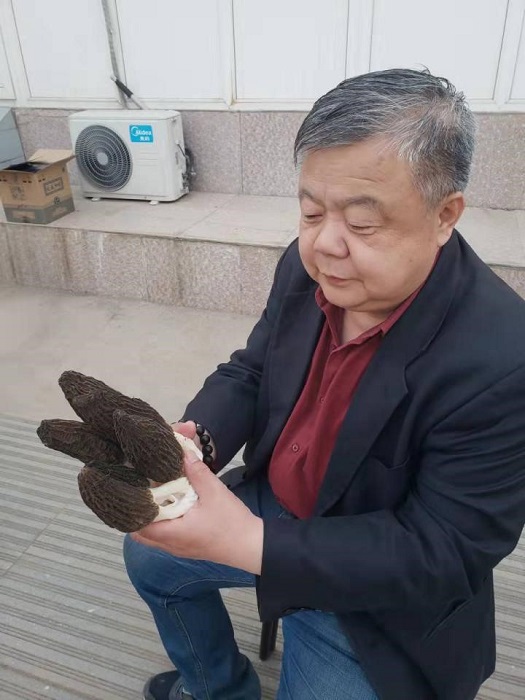 佰利乐·(中国区)有限公司官网