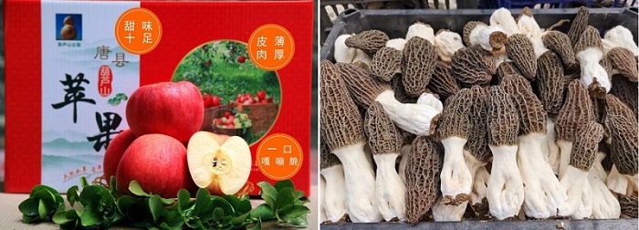 佰利乐·(中国区)有限公司官网